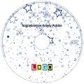Płyty z kolędami w kopercie kartonowej - BK-095 - nadruk na płycie z LOGO