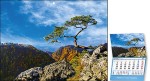 Kalendarze jednodzielne - wzór KJS-059