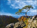 Kalendarze jednodzielne - wzór KJS-059