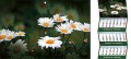 Kalendarze trójdzielne - KTE-072