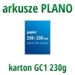 Arkusze PLANO - karton GC1 230g, format 250x330 mm
