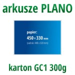 Arkusze PLANO - karton GC1 300g, format 450x330 mm