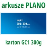 Arkusze PLANO - karton GC1 300g, format 700x330 mm