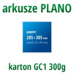 Arkusze PLANO - karton GC1 300g, format 285x305 mm