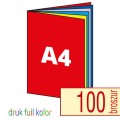 broszury A4 druk full kolor CMYK