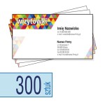 Wizytówki - 300 szt. 