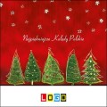 Płyty z kolędami w kopercie kartonowej - BK-293