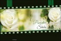 Strony zewnętrzne - okładka do pudełka DVD - Ślub, Wesele - SL 7010
