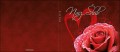 Strony zewnętrzne - Digipack na USB/CD/DVD - Ślub/Wesele - SL 7007 D4P