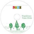 Płyty z kolędami w kopercie kartonowej - BK-075 - nadruk na płycie z LOGO