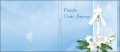 Strony zewnętrzne - Digipack - Pamiątka Chrztu Świętego - CH 5002 D4P