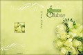 Strony zewnętrzne - okładka do pudełka DVD - Ślub, Wesele - SL 7011
