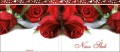 Strony zewnętrzne - Digipack na USB/CD/DVD - Ślub/Wesele - SL 7006 D4P