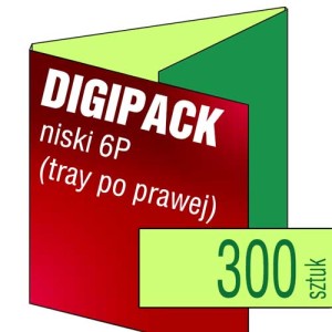 Digipack 6P (tray po prawej) - pakiet 300 szt.